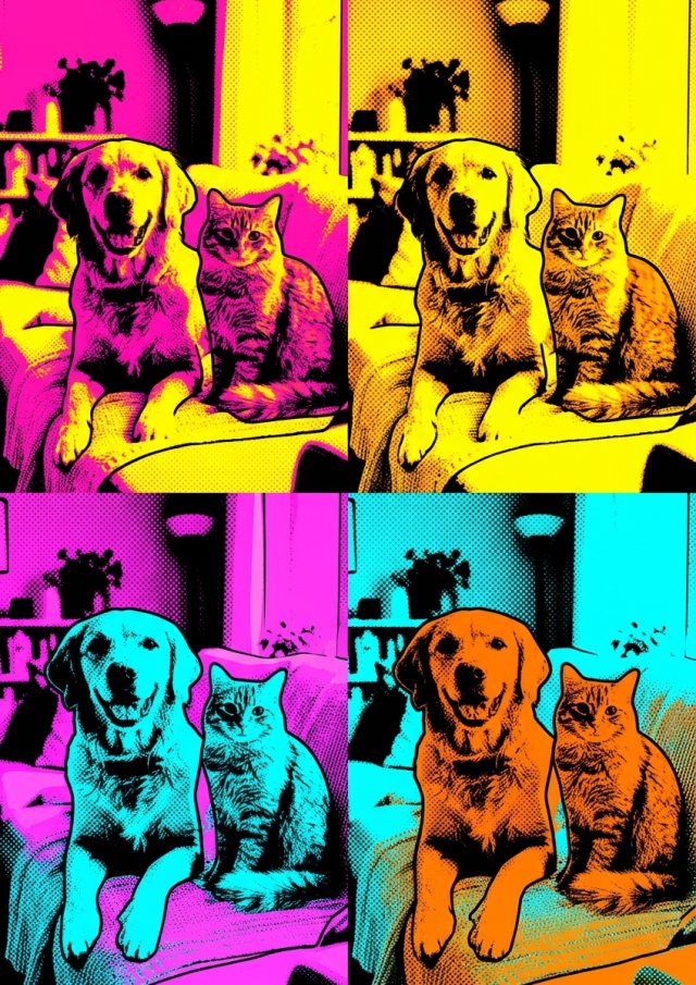 Pop Art Pati stilinde örnek portre