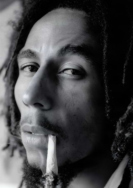 Bob Marley Portrait Film Posteri – Duvar Tablosu