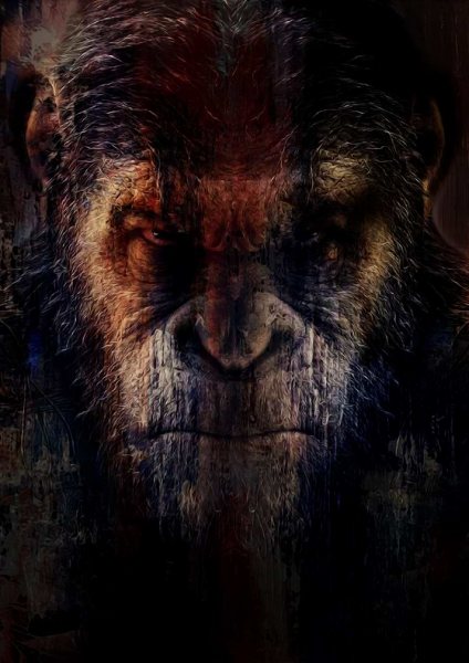 caesar Film Posteri – Duvar Tablosu duvarda gerçek ölçek