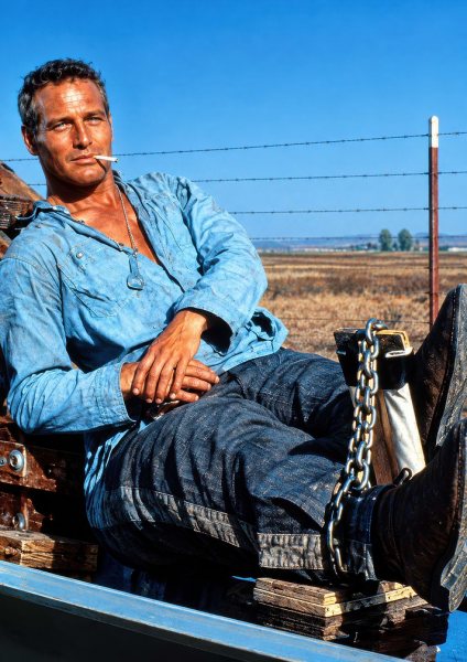 Paul Newman in Cool Hand Luke Film Posteri – Duvar Tablosu poster görseli