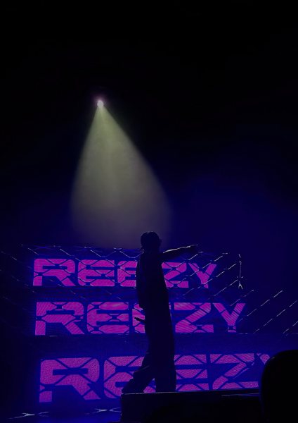Rapper Performing on Stage Müzik Posteri – Duvar Tablosu duvarda gerçek ölçek