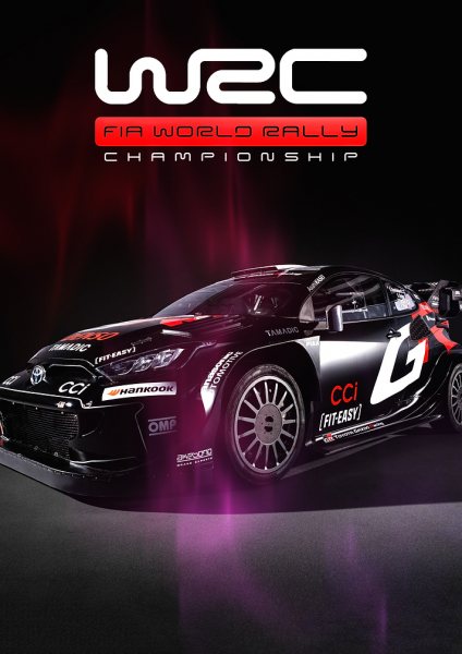 WRC FIA World Rally Championship Car Araba Posteri – Duvar Tablosu duvarda gerçek ölçek